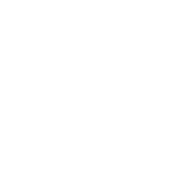 light logo